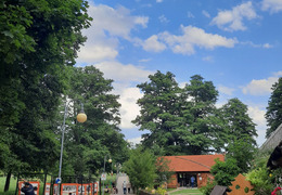  (photo)
