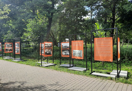  (photo)