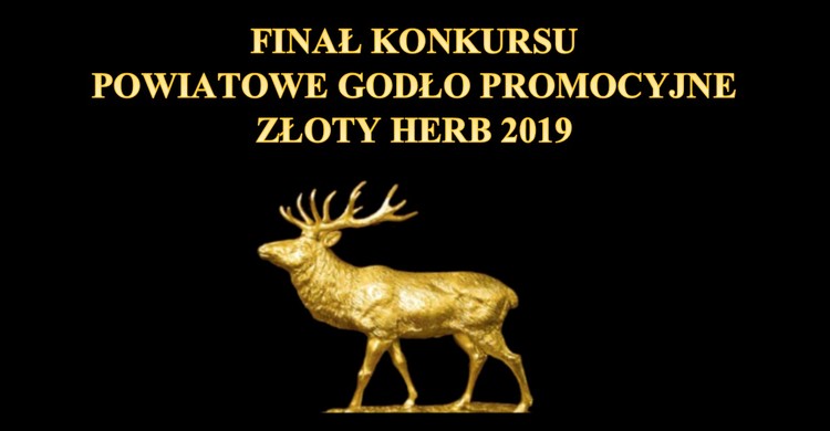 XX finał konkursu Powiatowe Godło Promocyjne Złoty Herb 2019. - zdjęcie