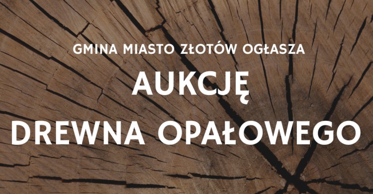 Aukcja drewna opałowego - zdjęcie