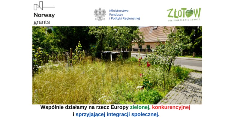Utworzenie wspólnie z mieszkańcami 3 społecznych stref zieleni miejskiej  - zdjęcie