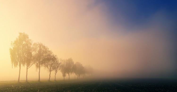 Ostrzeżenie meteo nr 16 - gęsta mgła - zdjęcie