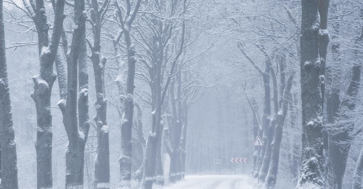 Ostrzeżenie meteorologiczne Nr 19 - gęsta mgła/1 - zdjęcie
