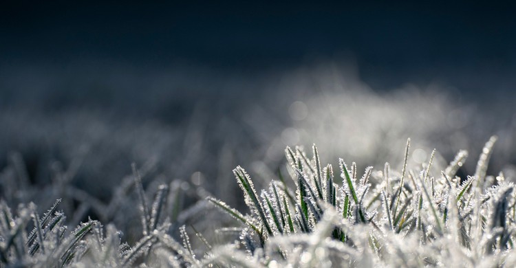 Ostrzeżenie meteorologiczne Nr 29 - Przymrozki/ 1 - zdjęcie