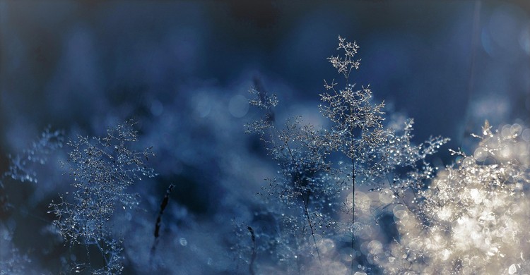 Ostrzeżenie meteorologiczne Nr 31 - Przymrozki/ 1 - zdjęcie