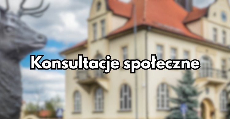 Konsultacje dotyczące drogi ekspresowej S11 na odcinku Piła-Jastrowie - zdjęcie